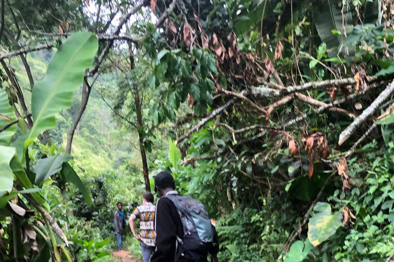 CACHOEIRAS DE MATERUNI: PASSEIO DE CAFÉ E FONTE TERMAL DE CHEMKACACHOEIRAS DE MATERUNI, PASSEIO DE CAFÉ E FONTE TERMAL DE CHEMKA