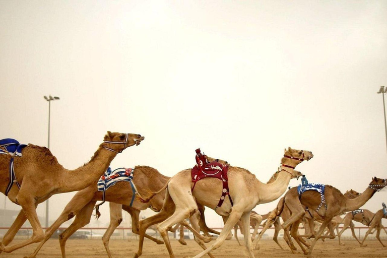 卡塔尔北部探索之旅：历史、遗产和瑰宝北卡塔尔探索之旅：历史、遗产和瑰宝