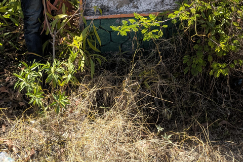 قرية ماكوندوتشي: جولة ثقافية وروحية مع وجبة غداءقرية ماكوندوتشي: جولة ثقافية وروحية مع الغداء