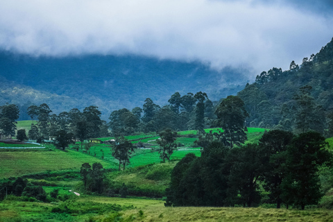 Sri Lanka: 9-Day Honeymoon Tour with Accommodation