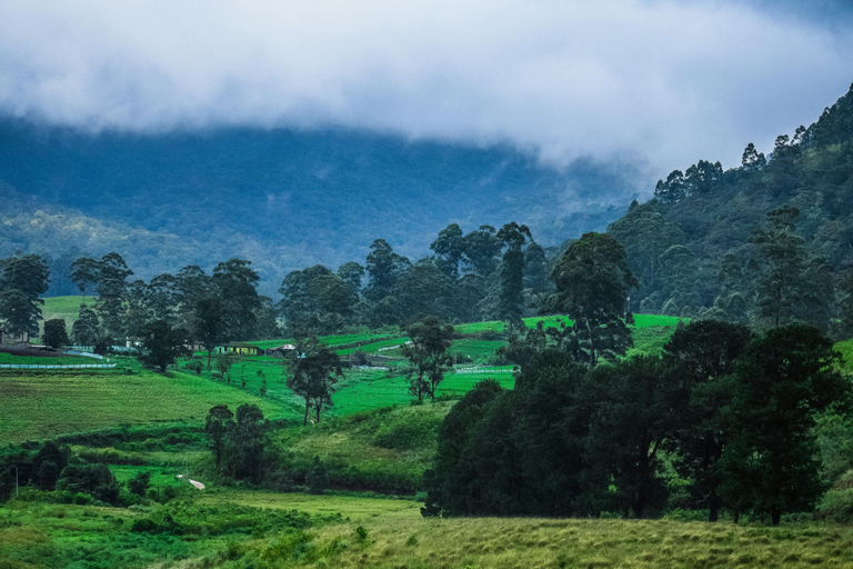 Sri Lanka: 9-Day Honeymoon Tour with Accommodation