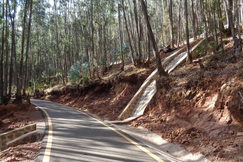 Addis Ababa: Entoto Hills Scenic Drive