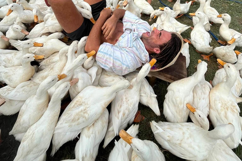 Hoi An: Coconut Boat & Duck Farm Coconut Boat