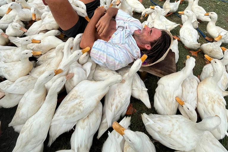 Hoi An: Coconut Boat & Duck Farm Coconut Boat