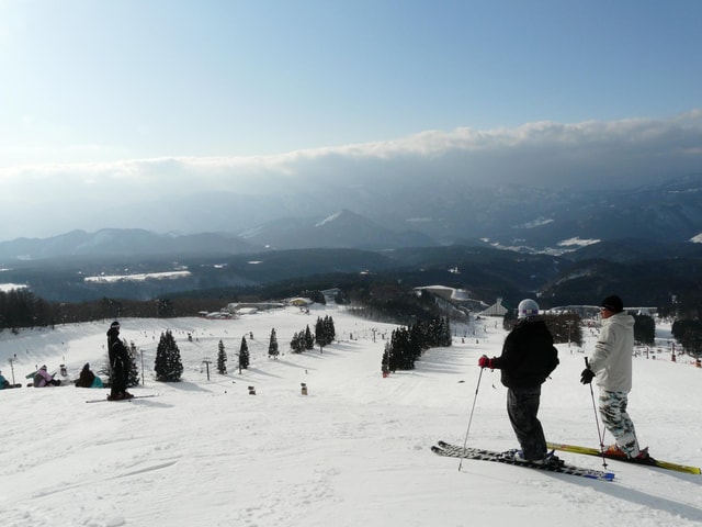 Nagoya: Washigatake Ski Resort Day Trip