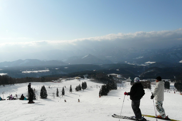 Nagoya: Washigatake Ski Resort Day Trip with Lift Ticket Nagoya: Include bus fare & lift ticket