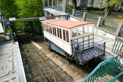 Braga & Guimarães Tour: Small Historical Group Tour