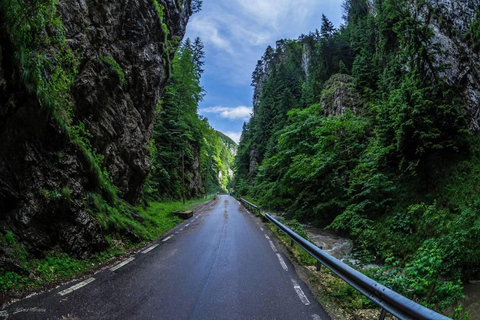 Brașov: Dracula's Castle, Bear Sanctuary, & Cave Tour