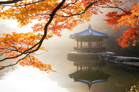 Seúl: Parque Nacional Naejangsan, tour de un día para ver el follaje otoñalVisita compartida a Naejangsan, encuentro en la estación de Myeongdong