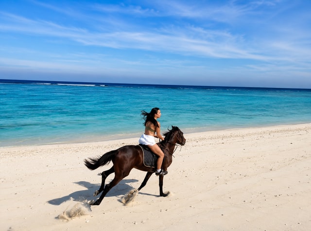 Gili Trawangan: Horseback Ride with Photo & Video Assistance