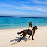 Gili Trawangan: Horseback Ride with Photo & Video Assistance