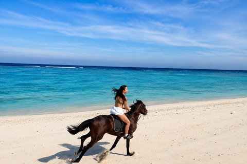 Gili Trawangan: Horseback Ride with Photo & Video