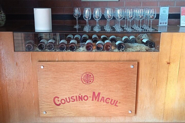 Santiago: Cousiño Macul Vineyard Premium Tasting Tour