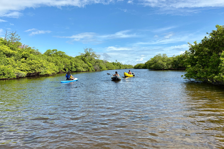 Fort Lauderdale: Kayak & Paddleboard Mangroves Eco Adventure