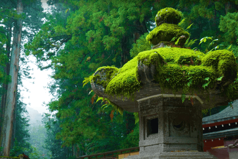 De Tóquio: Passeio turístico particular a Nikko com traslados