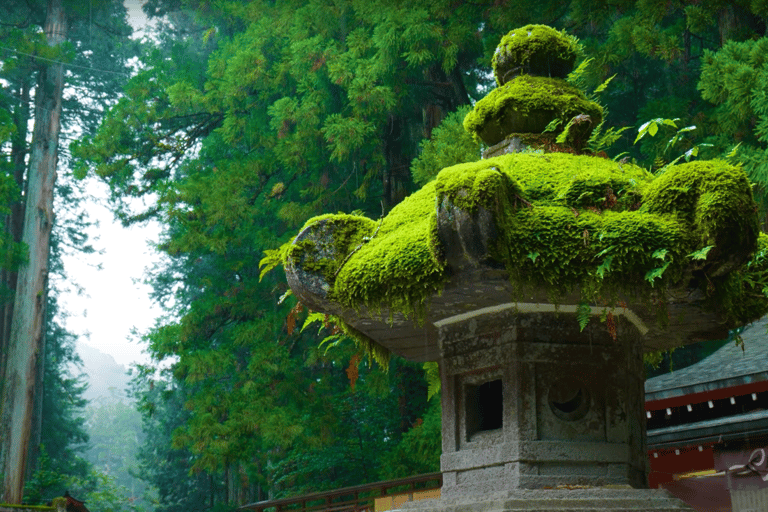 De Tóquio: Passeio turístico particular a Nikko com traslados