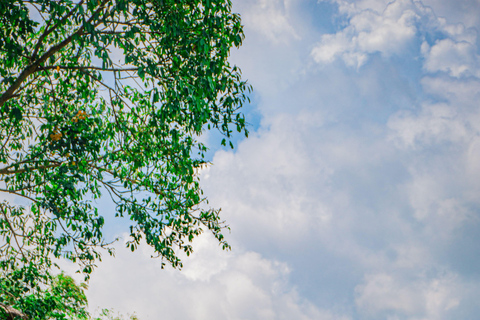 Explore Cebu Highlands with a Photographer