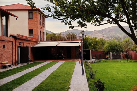 Dzegvi/Tbilisi: Winery Tour with Wine Tasting and Lunch