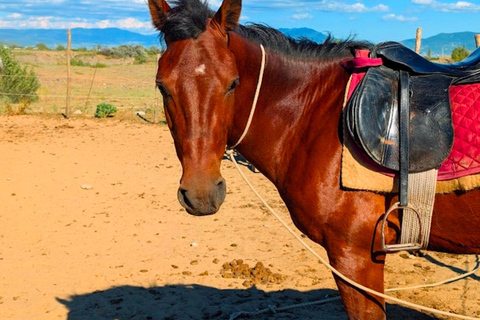 From Tbilisi: Guided Horseback Riding Tour with Transfer 1-Hour Horseback Riding with Round-Trip Transfer