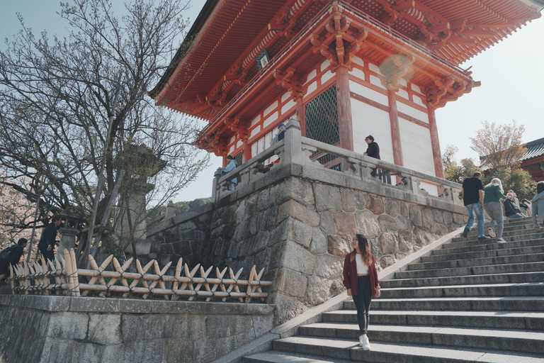 Kyoto Customisable Private Tour with a Local Guide