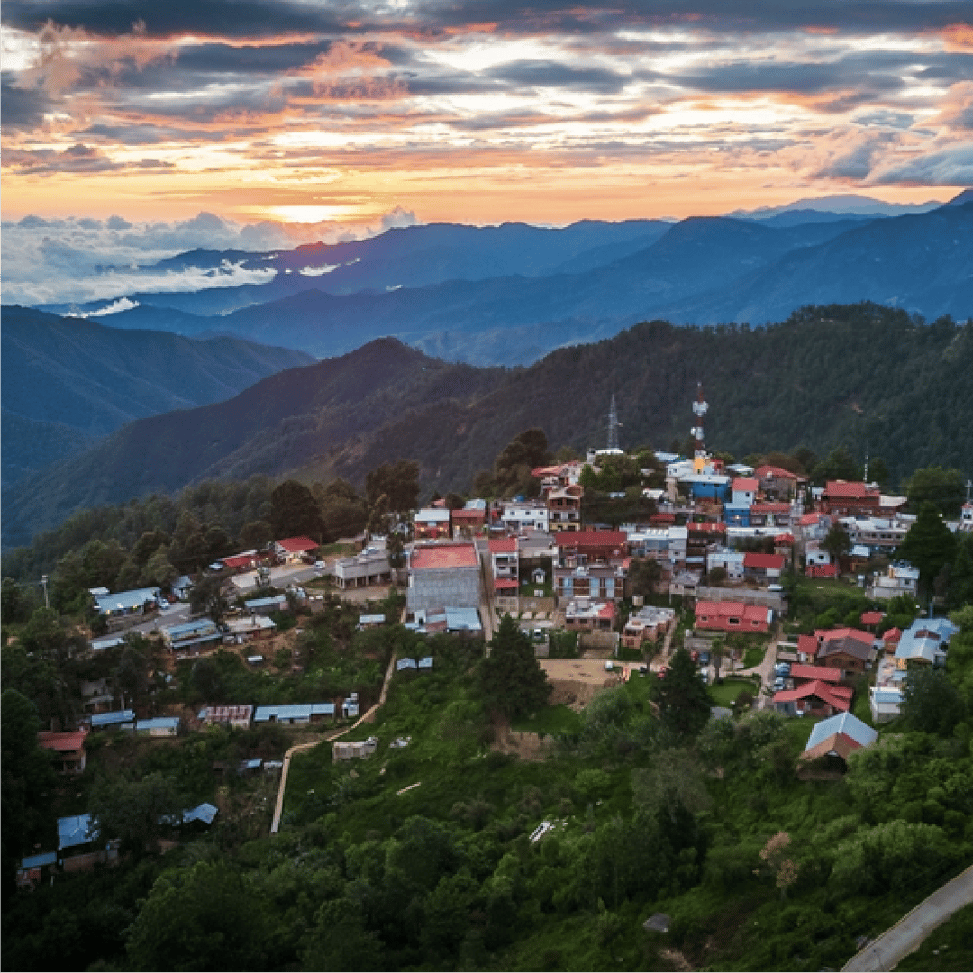 Galería de fotos para redes