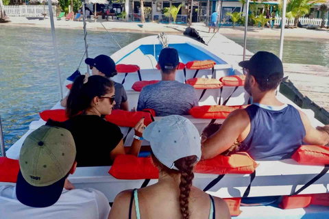 Ilha Colon: Ilha dos Pássaros, Boca del Drago e Praia da Estrela do Mar...