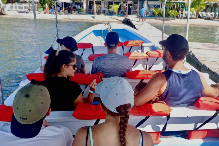 Isla Colon: Isola degli Uccelli, Boca del Drago e Spiaggia delle Stelle Marine...