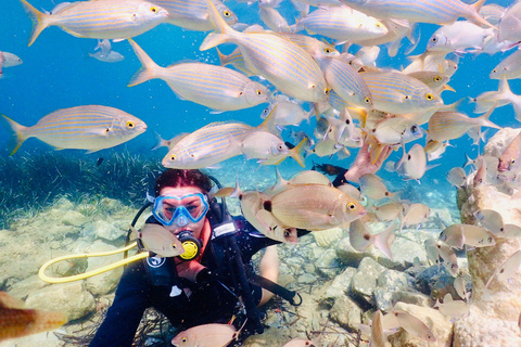 Kusadasi: Scuba Diving for Beginner or Expert Diver w/ Lunch Reef Diving Option ( 40 Minutes )