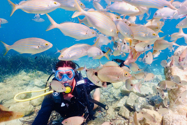 Kusadasi: Scuba Diving for Beginner or Expert Diver w/ Lunch Reef Diving Option ( 40 Minutes )