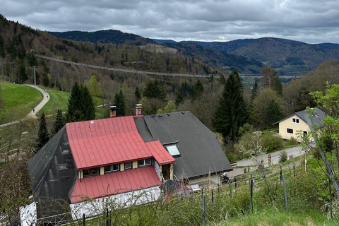 Vanuit Bazel: privé-excursie naar het Zwarte Woud, watervallen en meren