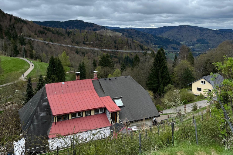 Vanuit Bazel: privé-excursie naar het Zwarte Woud, watervallen en meren