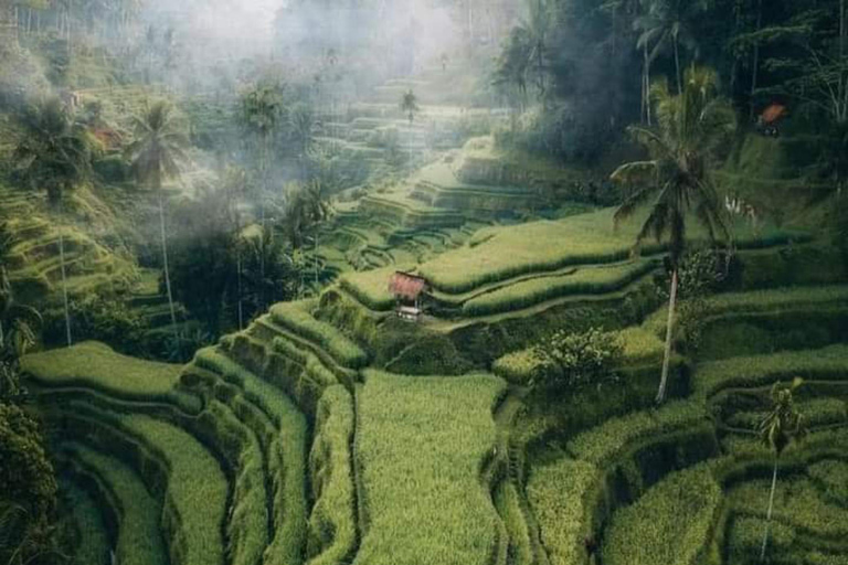 Ubud : I migliori punti di forza del viaggio a Ubud sulla base della tua selezioneOpzione prezzo con tutto incluso