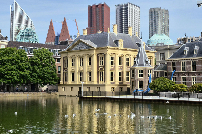 The Hague Private Walking Tour: Politics & Royal Heritage