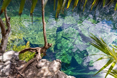 Tulum & Cobá 4-in-1: Mayan Ruins, Cenote & Playa del Carmen Tulum 4x1 Clasico: Full day