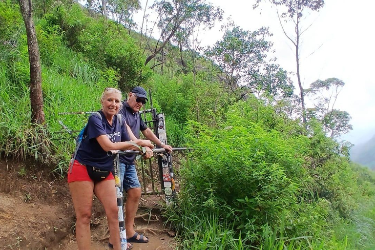 ELLA Lipton Seat Tea Test & Pluck 9Arch, Waterfalls, & Food Lipton's Seat, Little Adam Peak, 9 Arch, Ravana Waterfalls