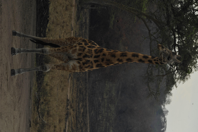 Uganda: 3-Day Lake Mburo National Park Adventure Tour