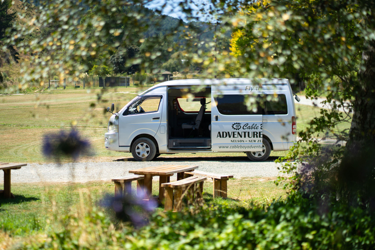 Nelson: Cable Bay Adventure Park Skywire Experience