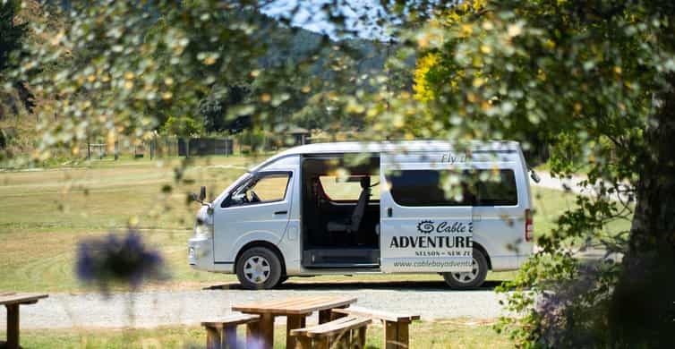 Nelson: Cable Bay Adventure Park Skywire Experience photo 12