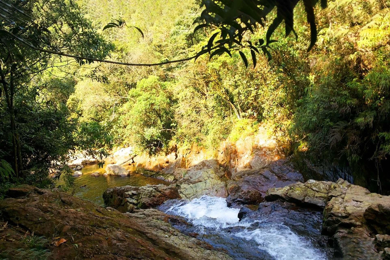 Mambucaba River Rafting with Stunning Forest Scenery Access