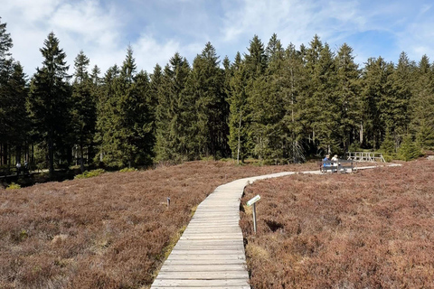 Oberhof: Puzzle hike in the Thuringian Forest
