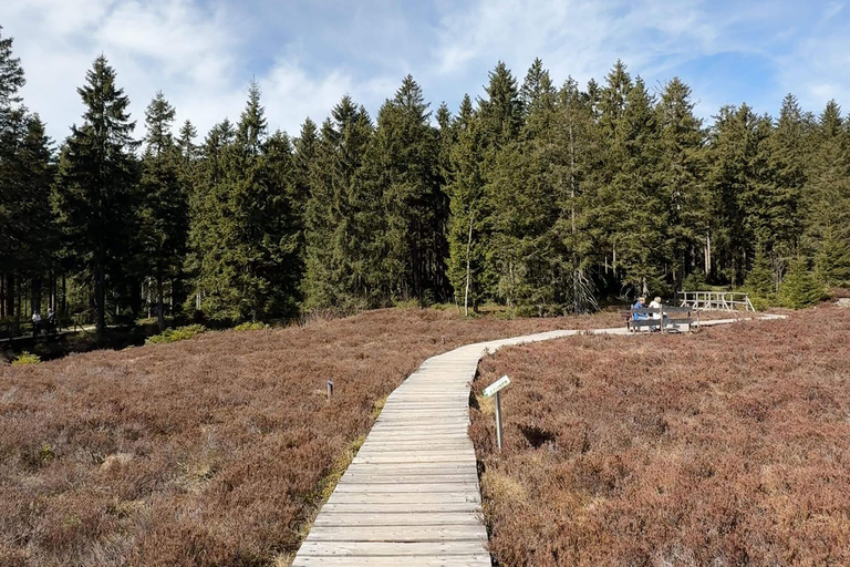 Oberhof: Puzzle hike in the Thuringian Forest