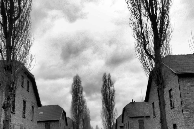 从克拉科夫出发：奥斯维辛-比克瑙博物馆最后一刻游览从克拉科夫出发：奥斯维辛-比克瑙博物馆最后一刻游