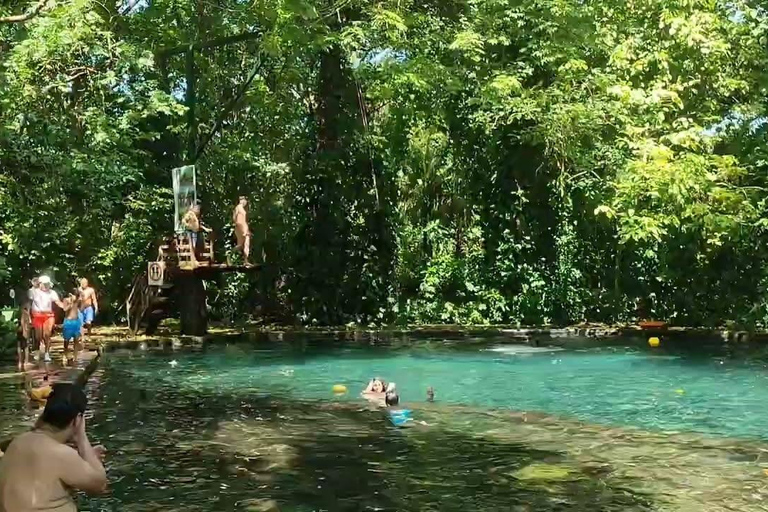 Safari privado por la campiña dominicana y inmersión culturalPrivado: safari por la campiña dominicana e inmersión cultural