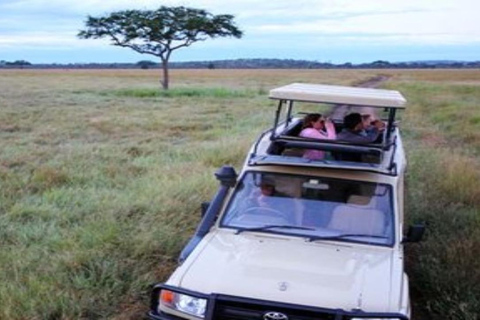 Dar es Salaam: safari w Parku Narodowym SaadaniDar es Salaam: Safari w Parku Narodowym Saadani