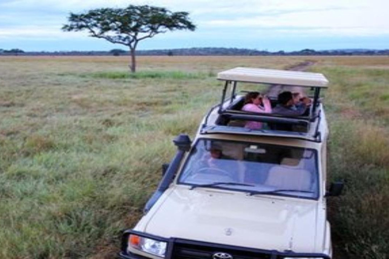 Dar es Salaam: safari w Parku Narodowym SaadaniDar es Salaam: Safari w Parku Narodowym Saadani