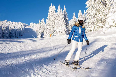 Sapporo Teine Premium Small-Group All-Inclusive Ski Day (night) Small Group Class for 3–4 People