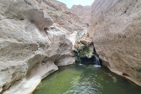 Muscat: Fins View, Wadi Jahal & Bimmah Tour