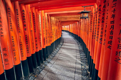 Kyoto: Private Highlight Day Tour with Guide and Vehicle