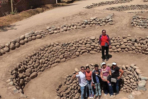From Ica: Full Day Archaeological Tour in Nazca
