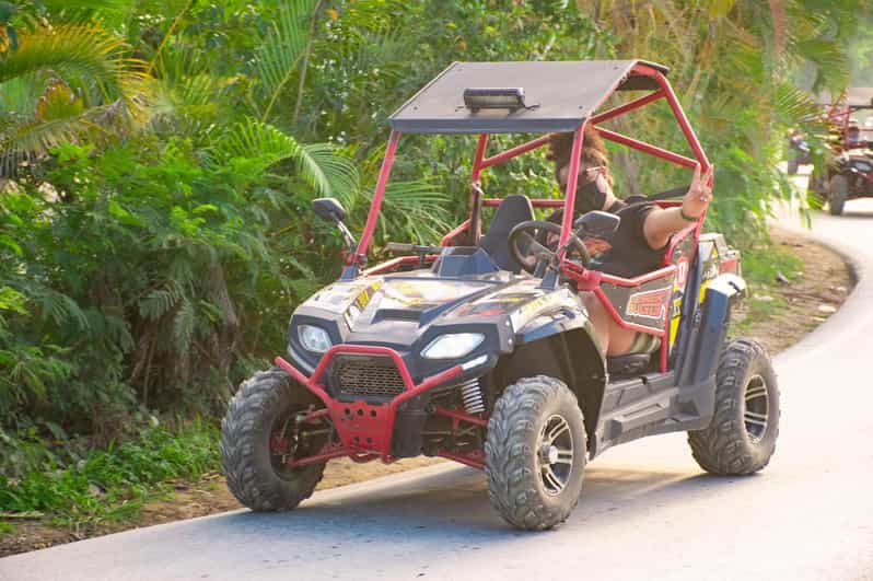 Vip Buggy Cart Deep South VIP Buggy | GetYourGuide
